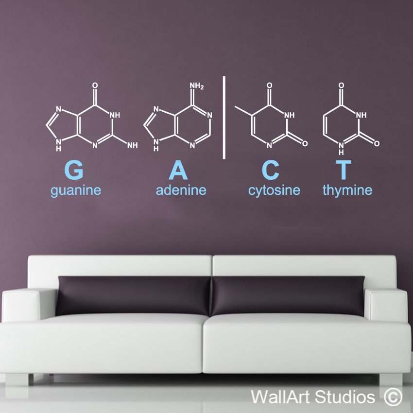 DNA Structure Formula Wall Decal | DNA Structure Formula Wall Decal | Wall Art Studios UK