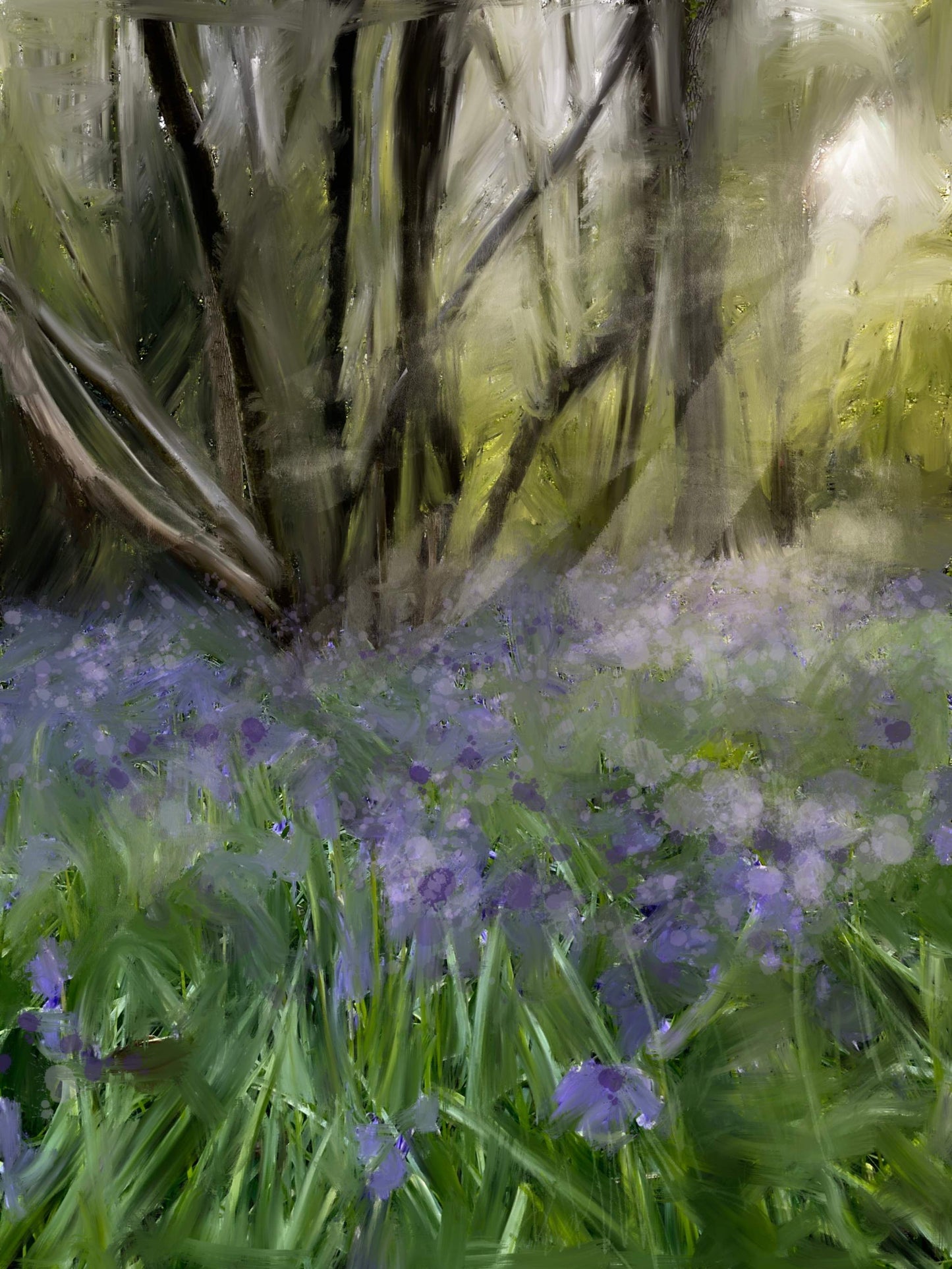 Bluebells at Dawn -