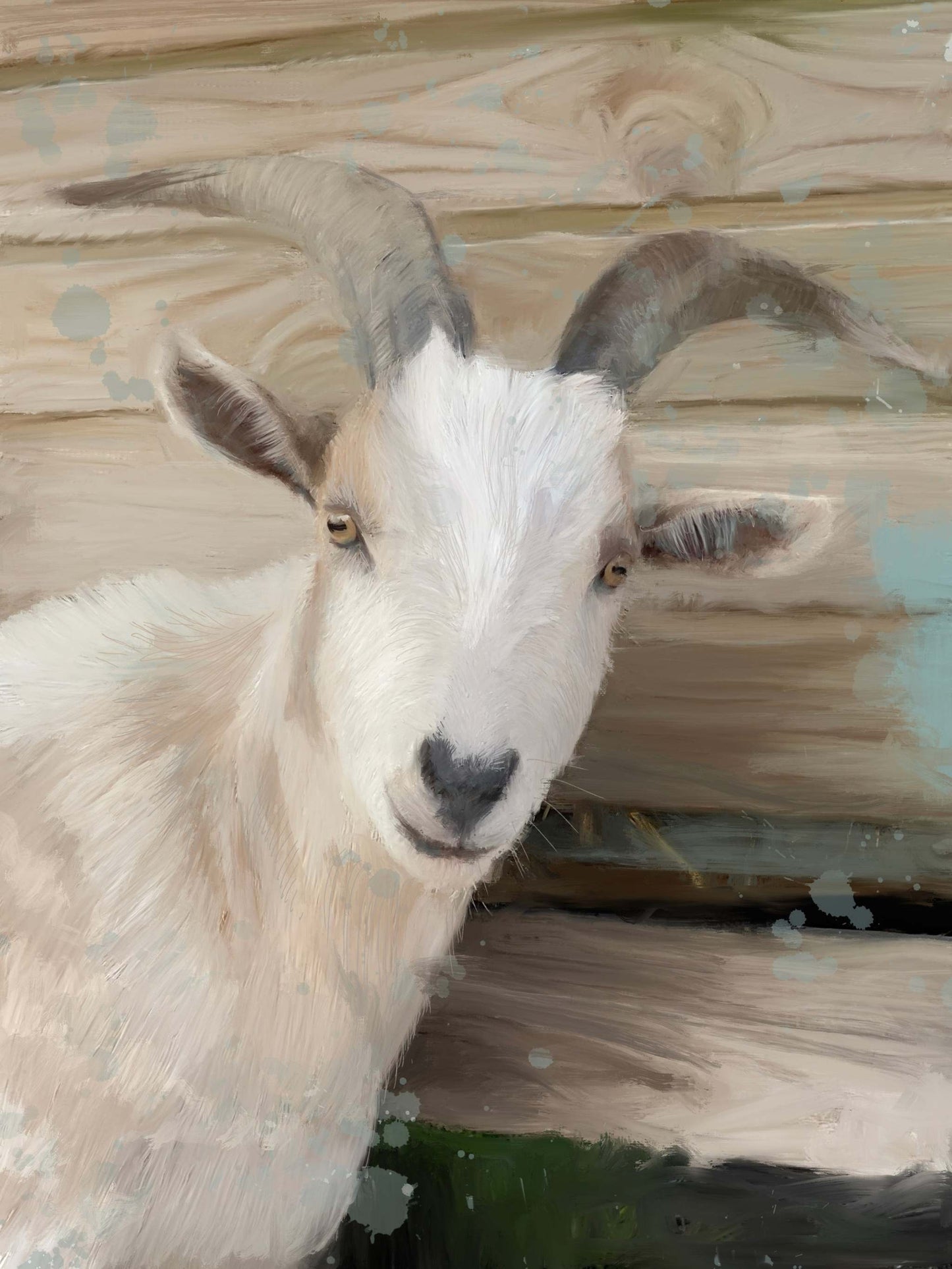 Goat 5 | Goat 5 | Wall Art Studios UK