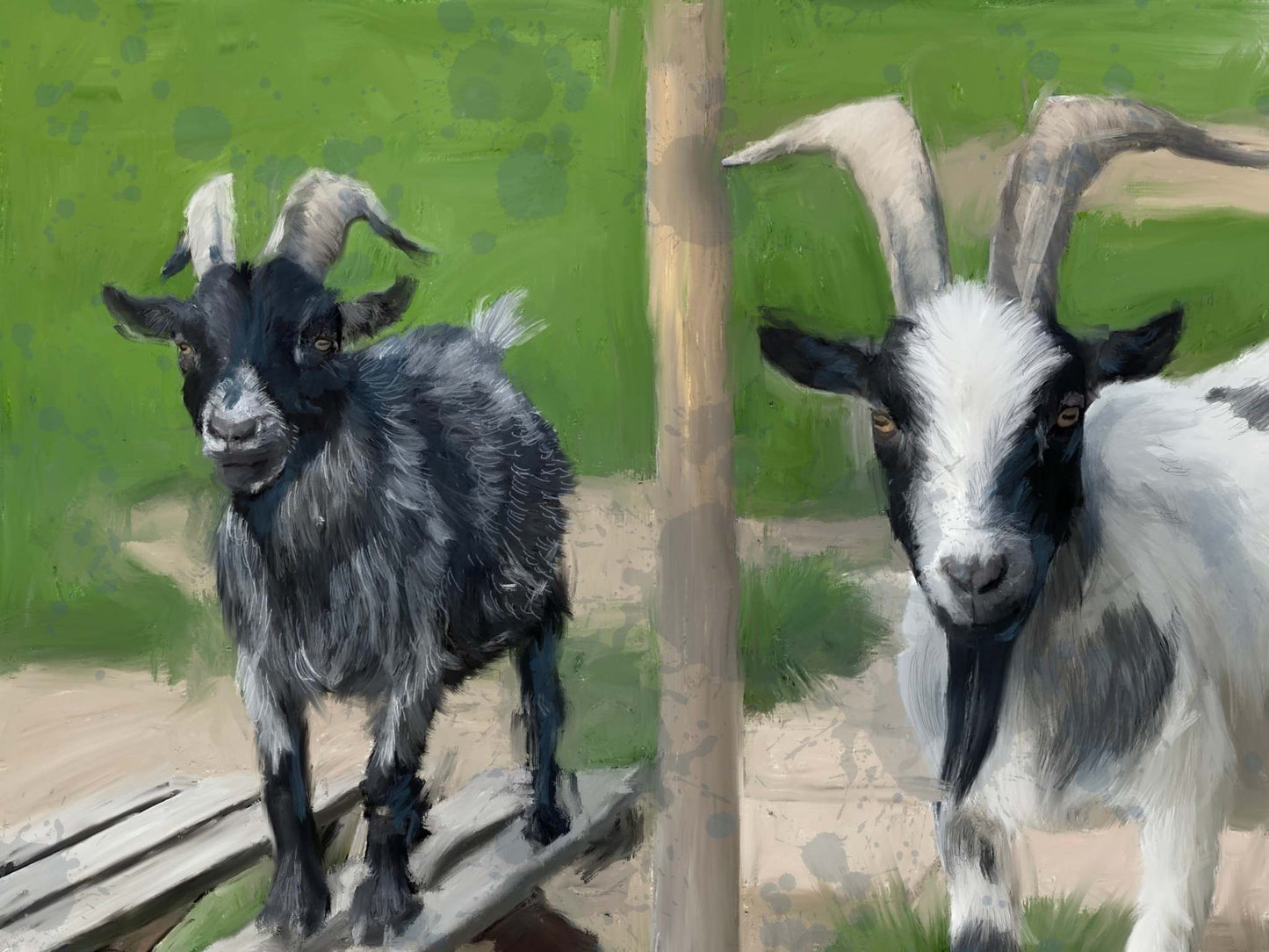 Goats 2 | Goats 2 | Wall Art Studios UK