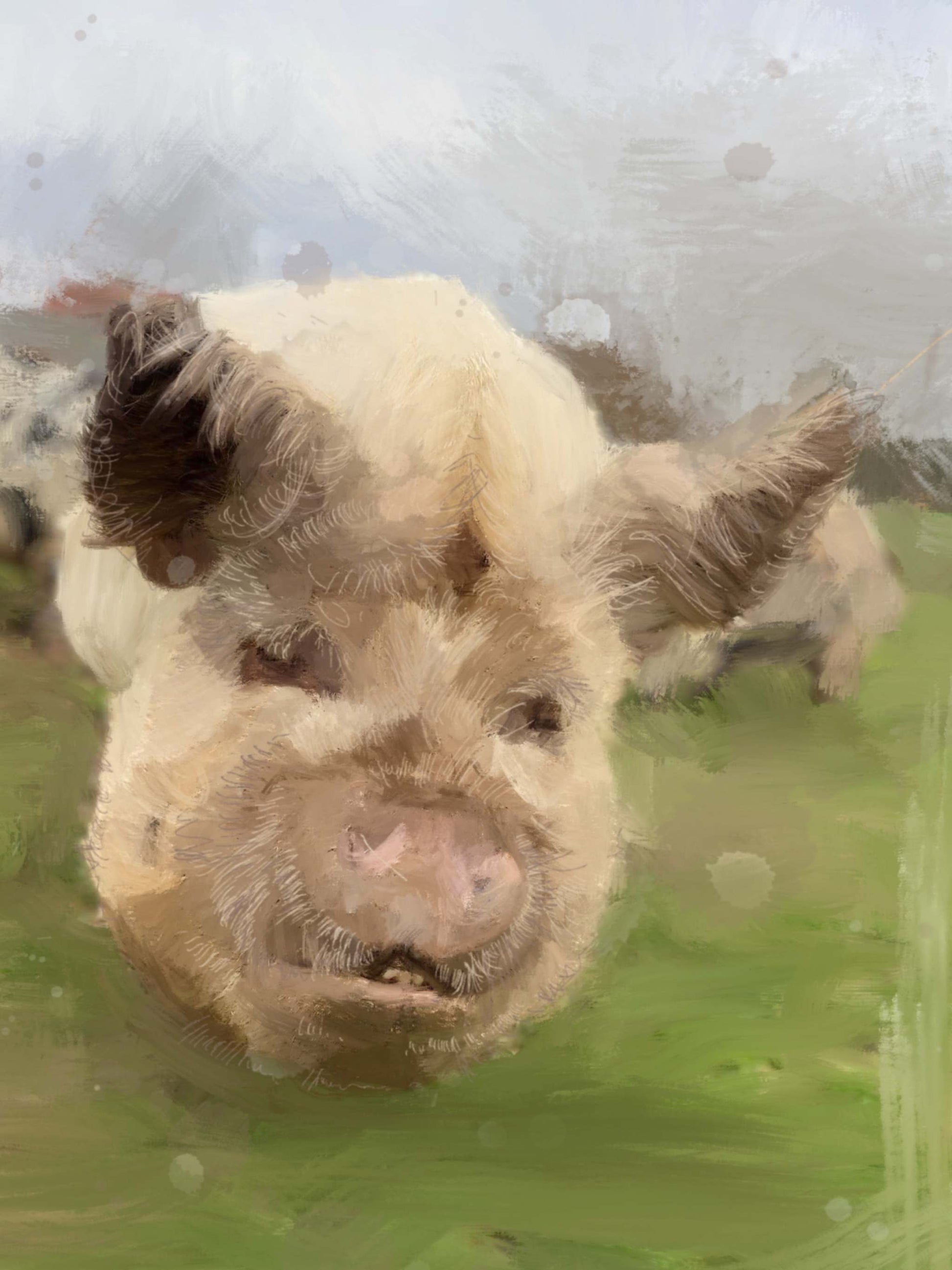Pig 1 | Pig 1 | Wall Art Studios UK