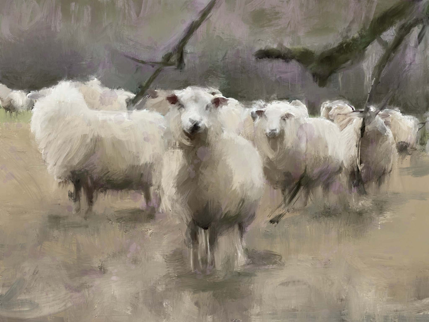 Sheep | Sheep | Wall Art Studios UK