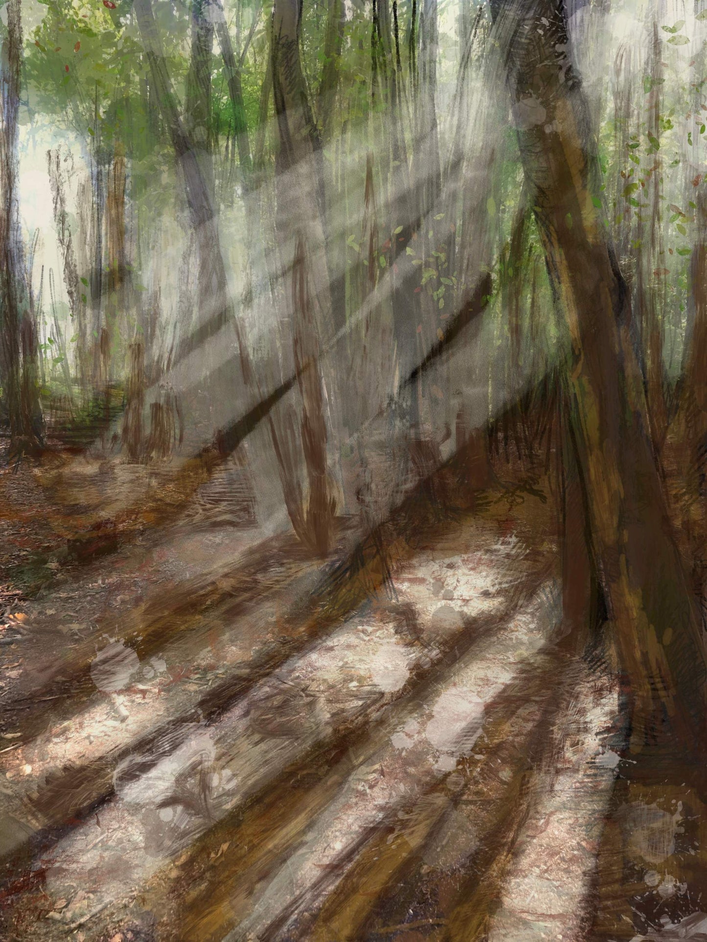 Sunlight through Woodland | Sunlight | Wall Art Studios UK