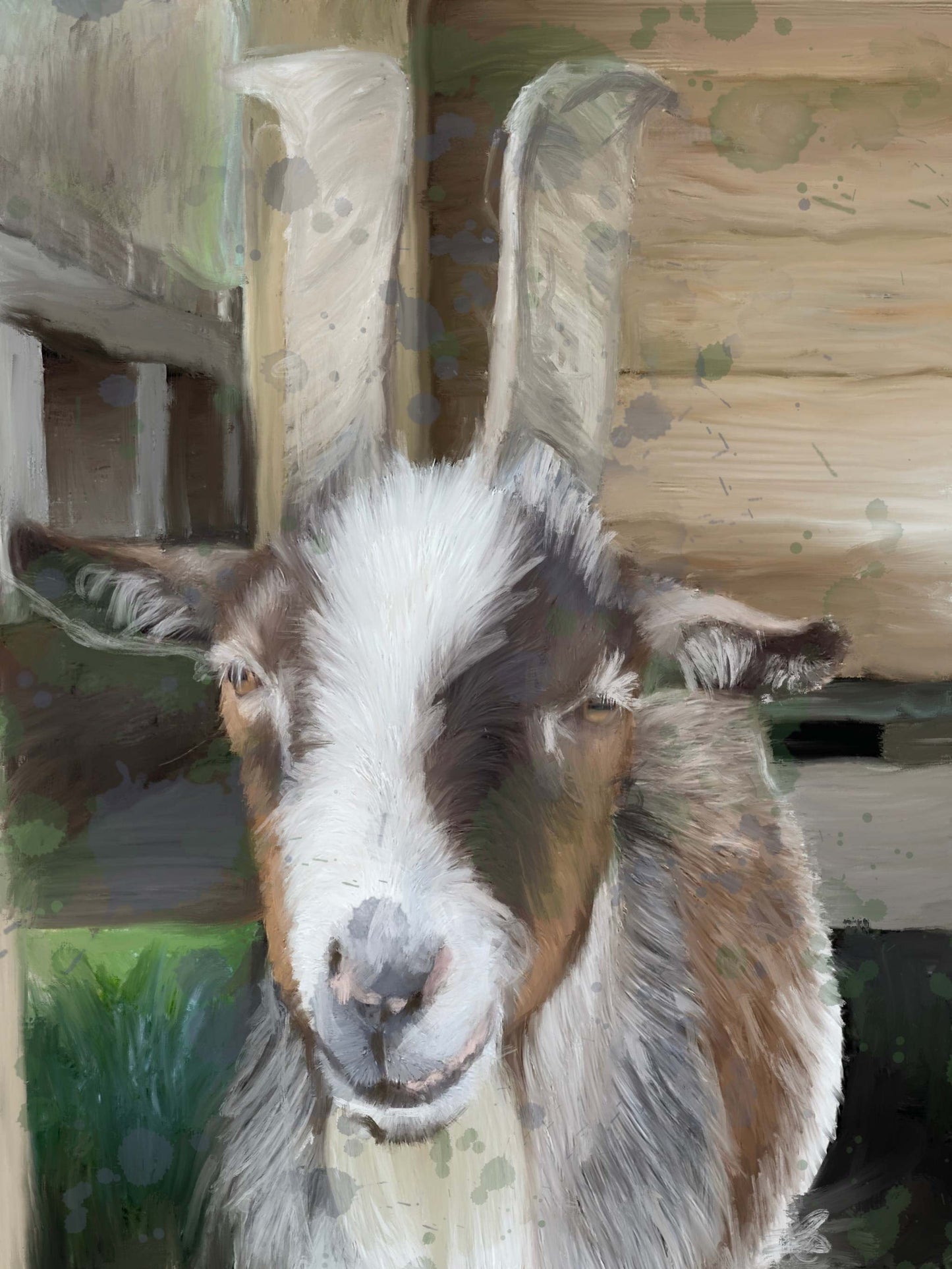 Goat 4 -