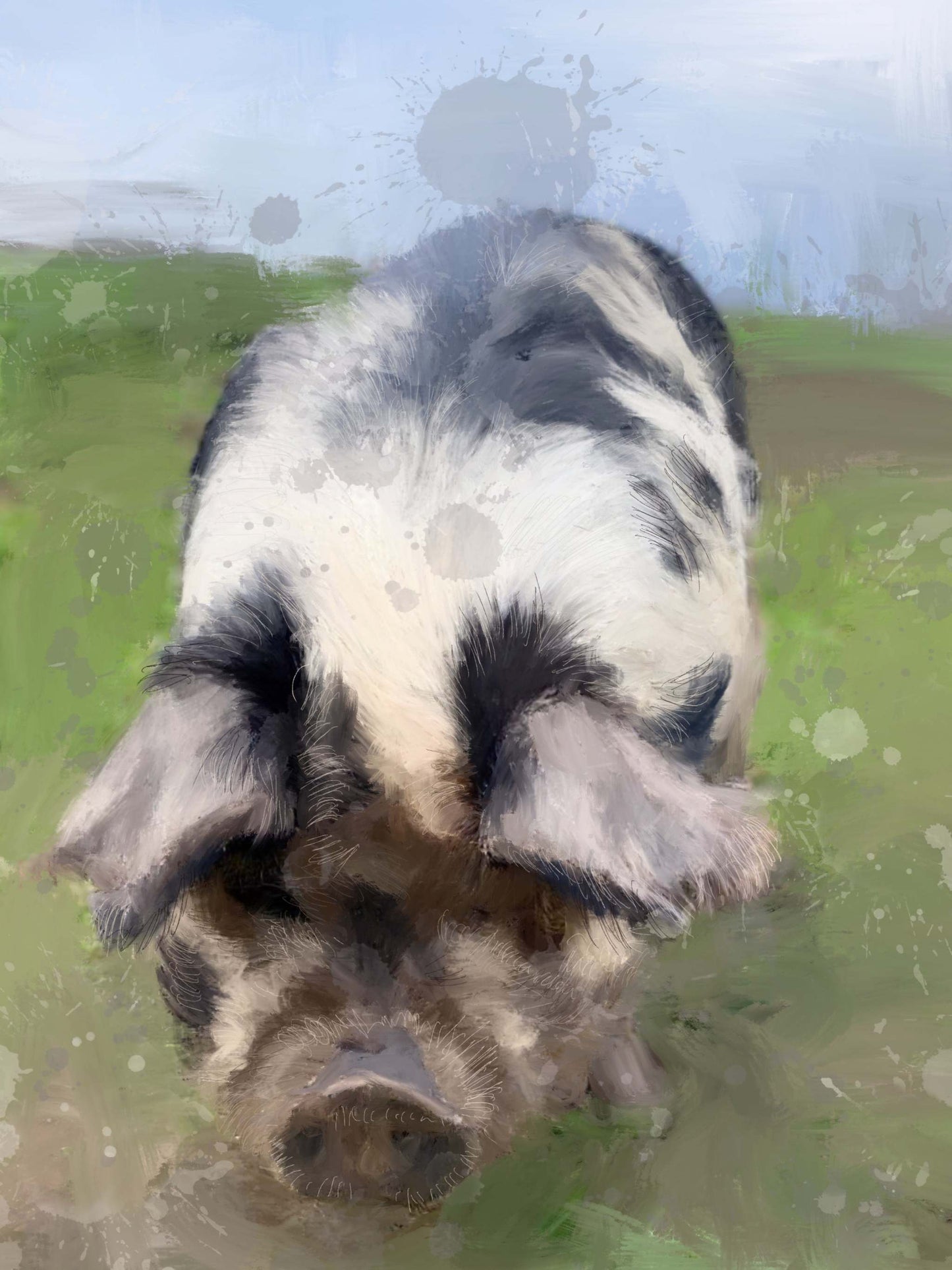 Pig 2 -
