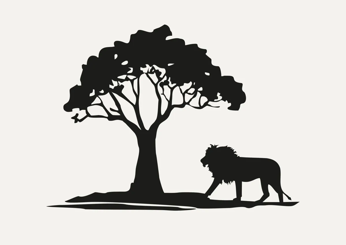 Lion walking under an acacia tree, silhouette