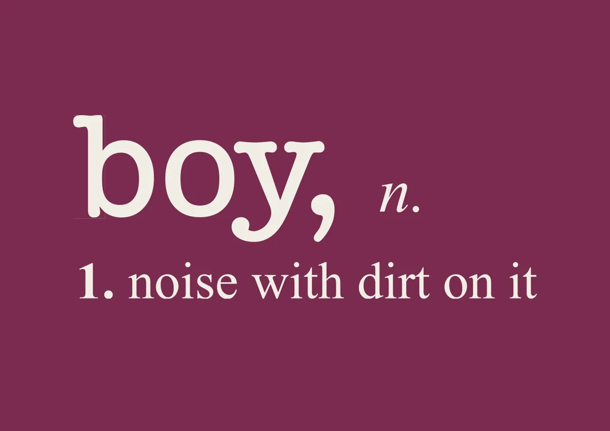 Dictionary style definition: boy, noun, noise with dirt on it
