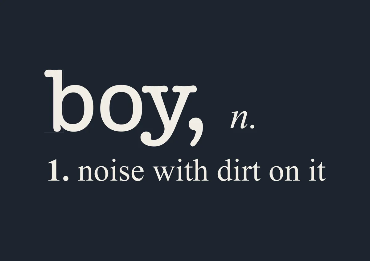 Dictionary style definition: boy, noun, noise with dirt on it