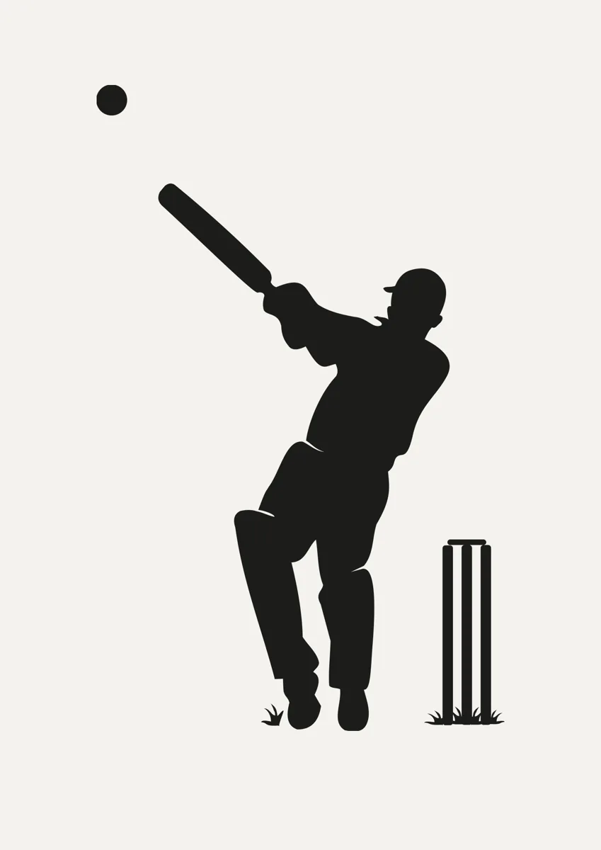 Cricket batsman hitting the ball with stumps behind, silhouette
