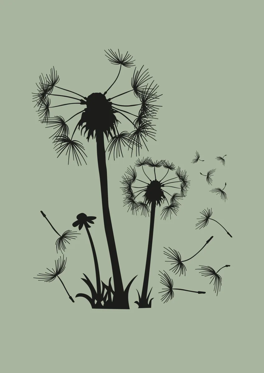 Dandelion seed heads with seeds blowing away