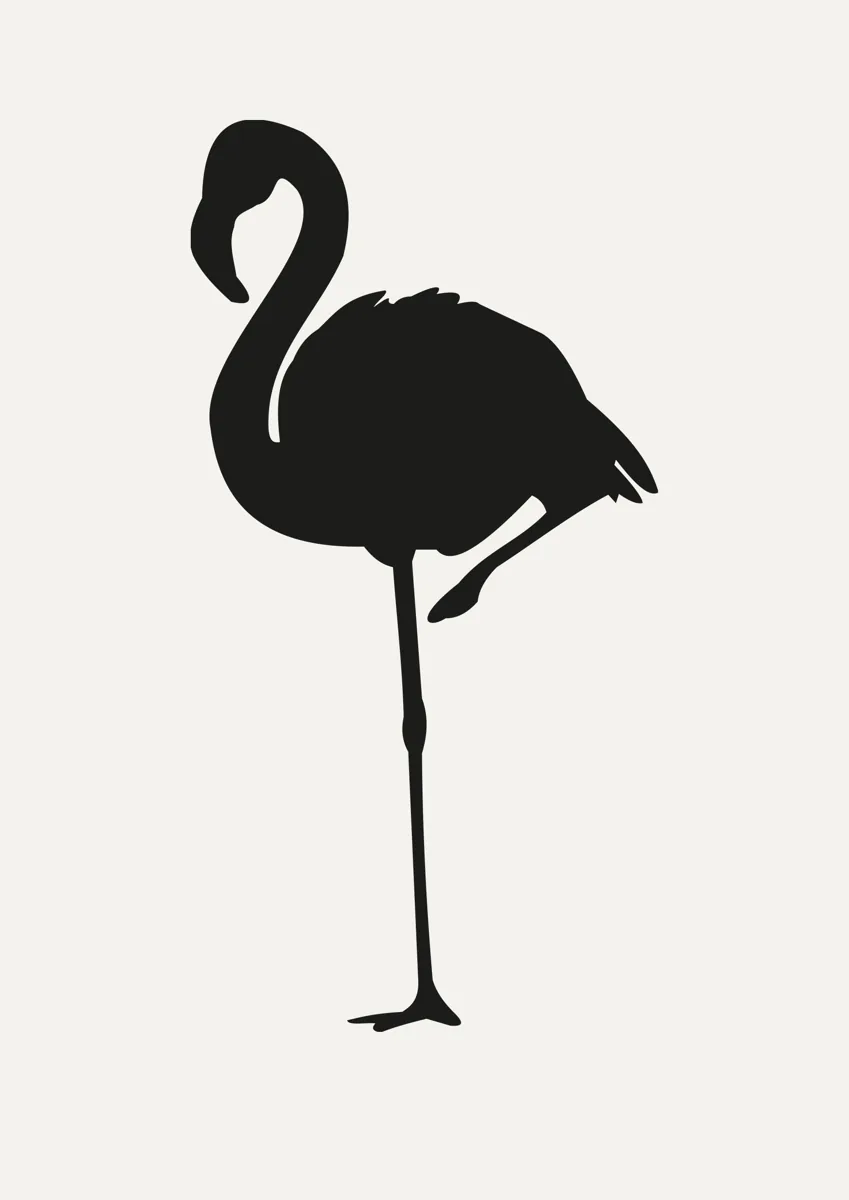 Flamingo standing on one leg, silhouette