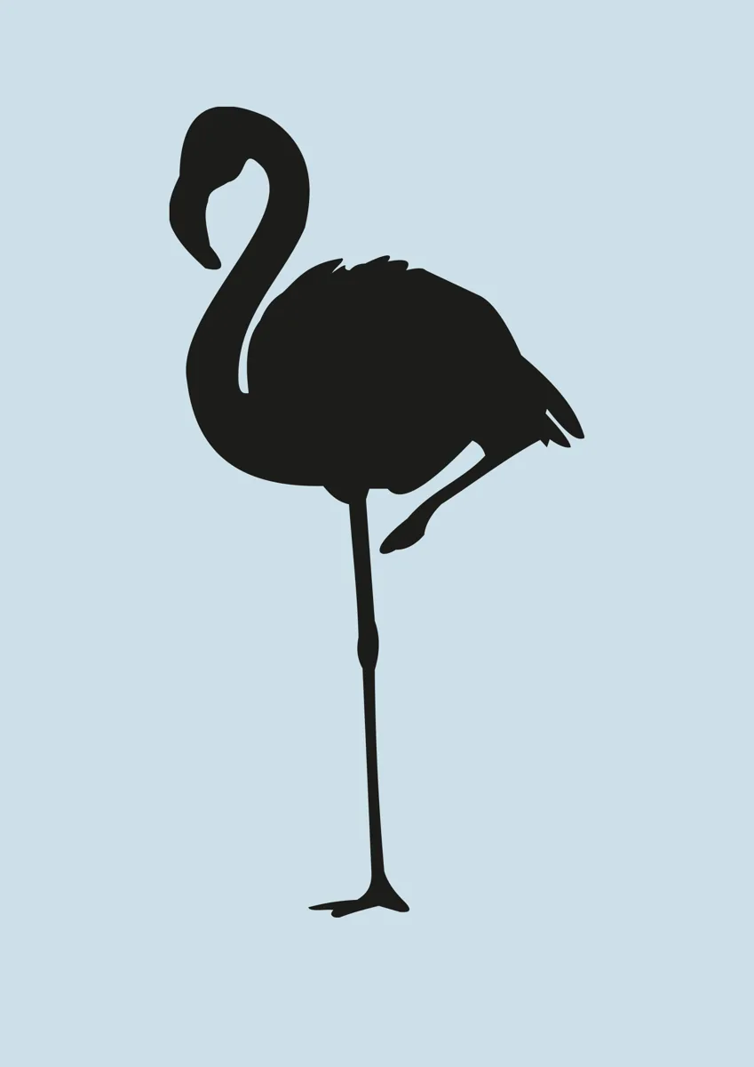 Flamingo standing on one leg, silhouette