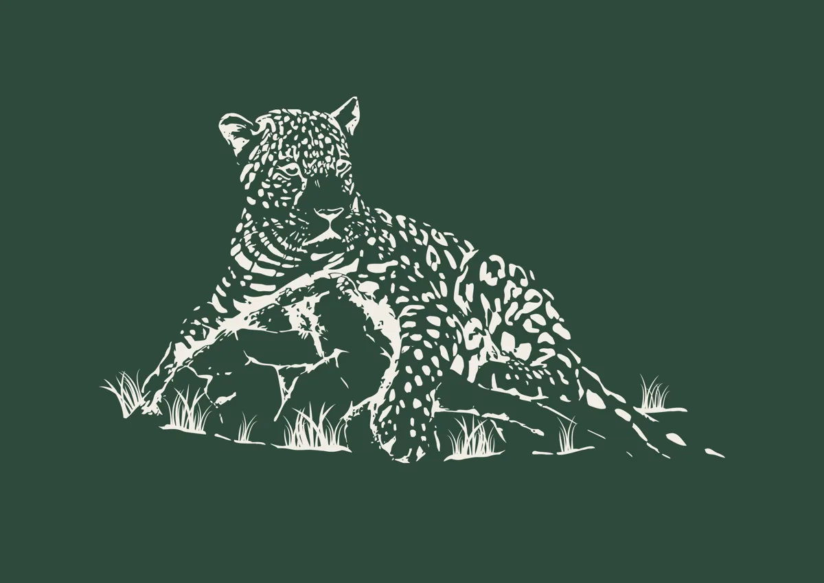 Leopard lying on a rock, detailed illustration