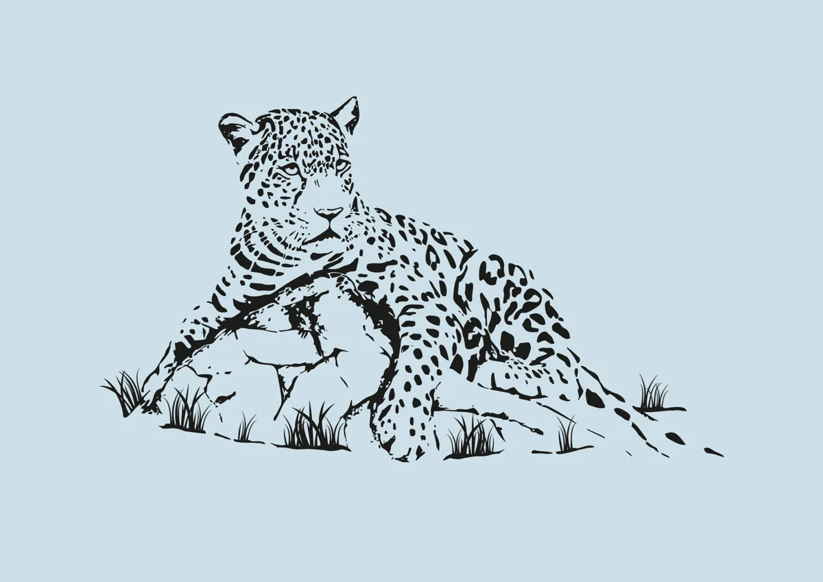 Leopard lying on a rock, detailed illustration