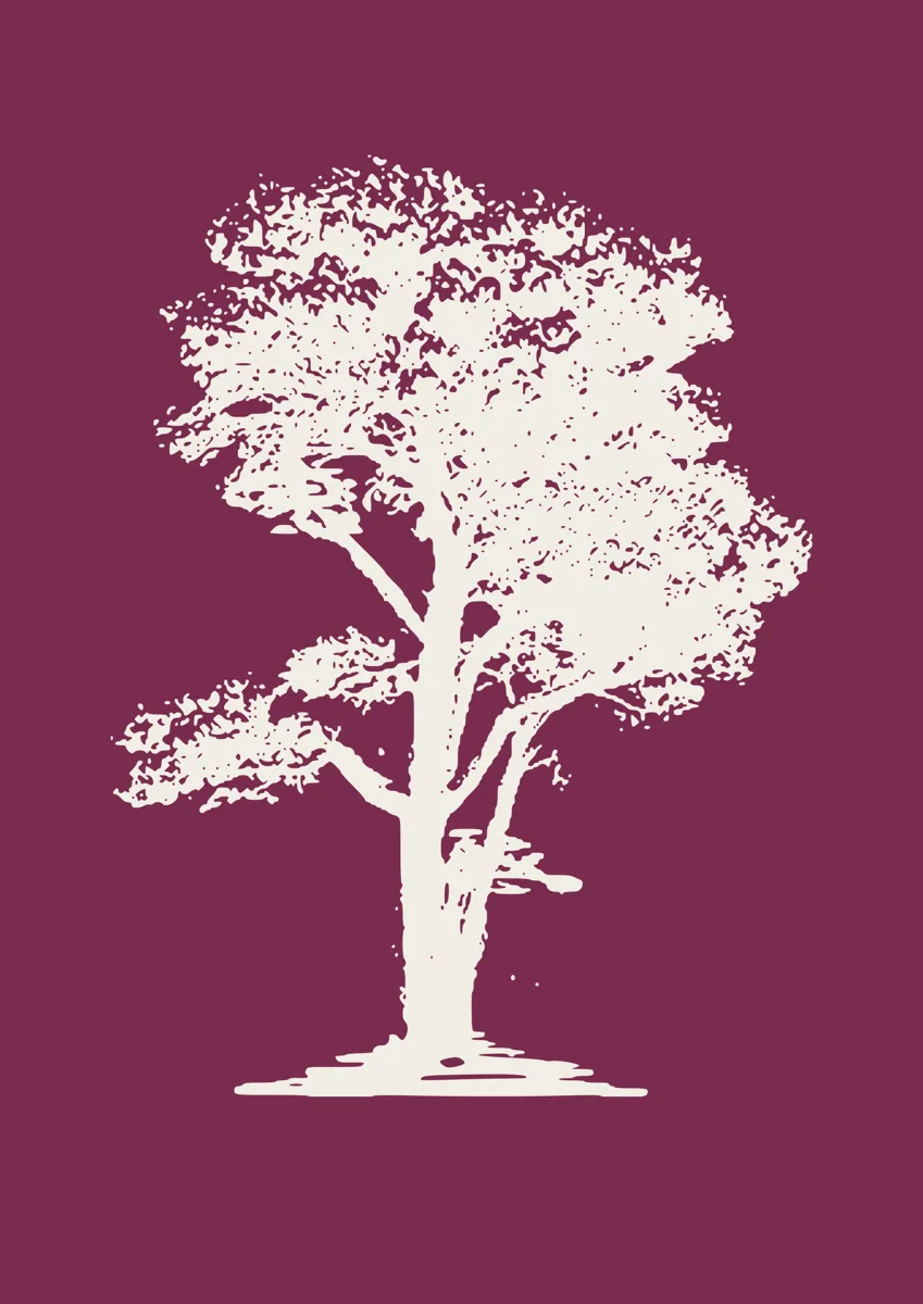 Detailed silhouette of a large oak tree in full leaf