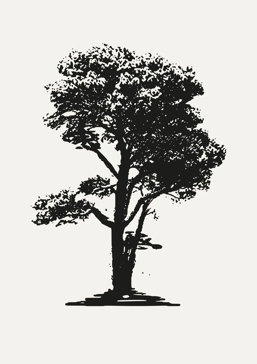 Detailed silhouette of a large oak tree in full leaf