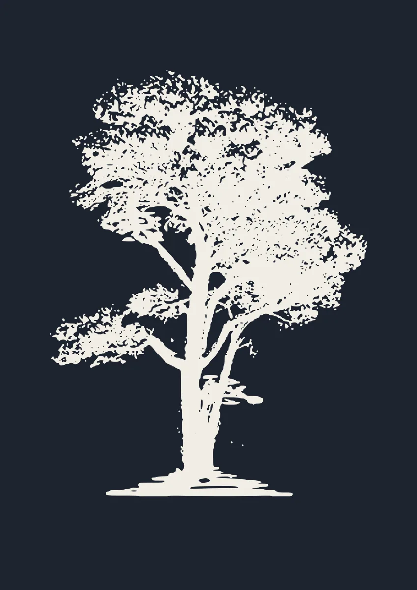 Detailed silhouette of a large oak tree in full leaf