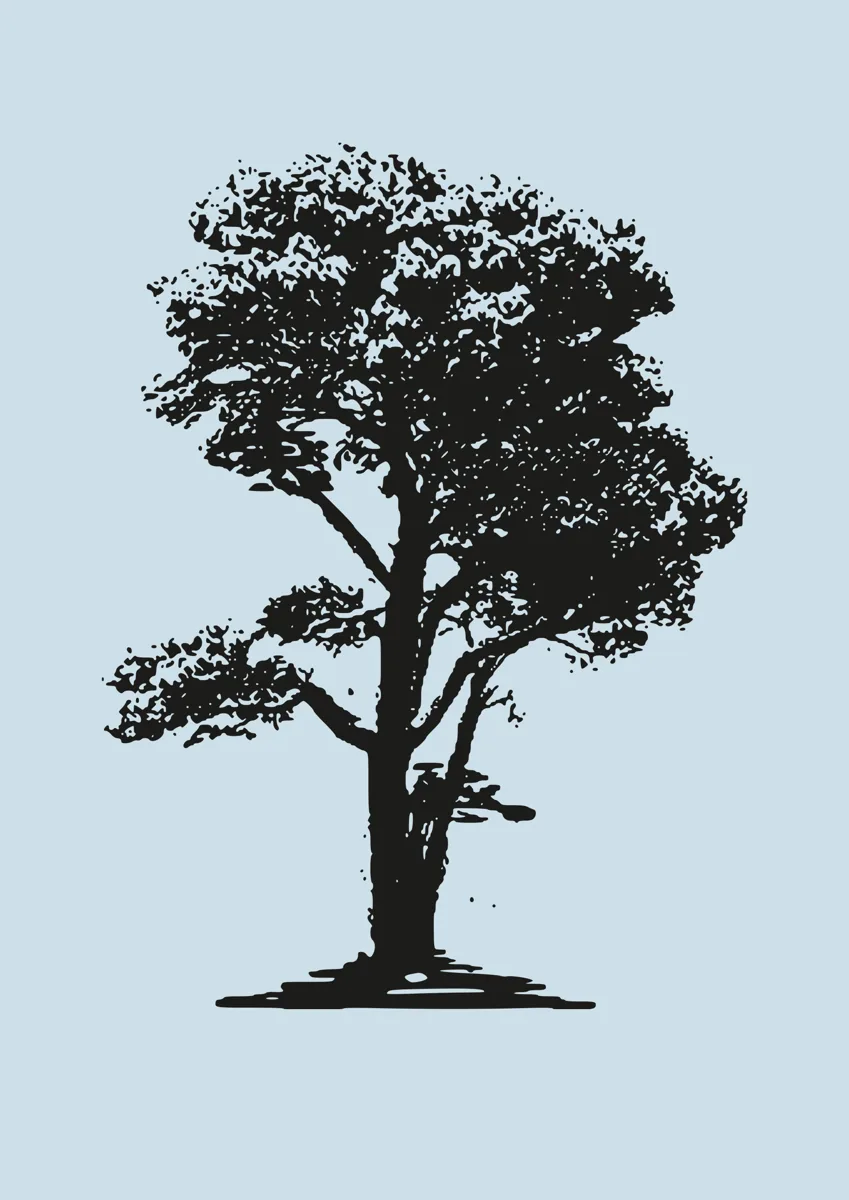 Detailed silhouette of a large oak tree in full leaf