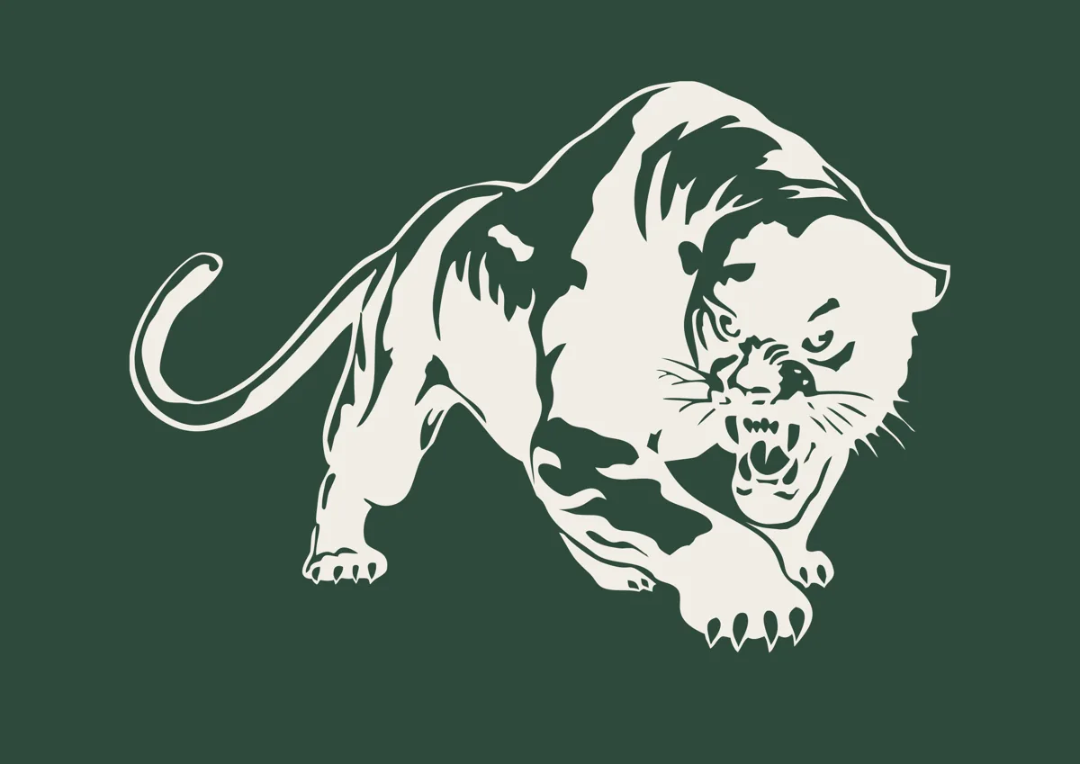 Panther prowling, detailed illustration