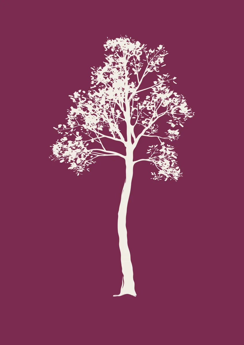 Tall slender tree with a dappled canopy, silhouette