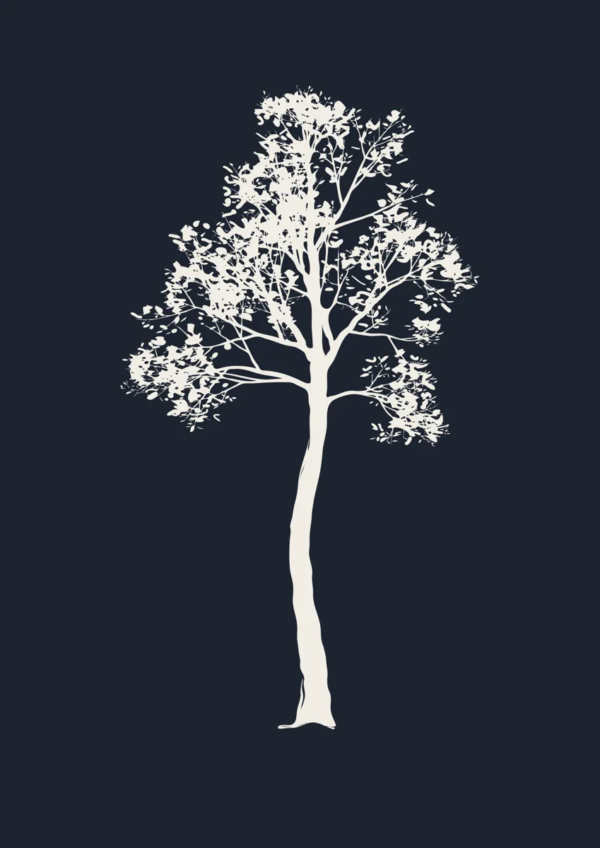 Tall slender tree with a dappled canopy, silhouette