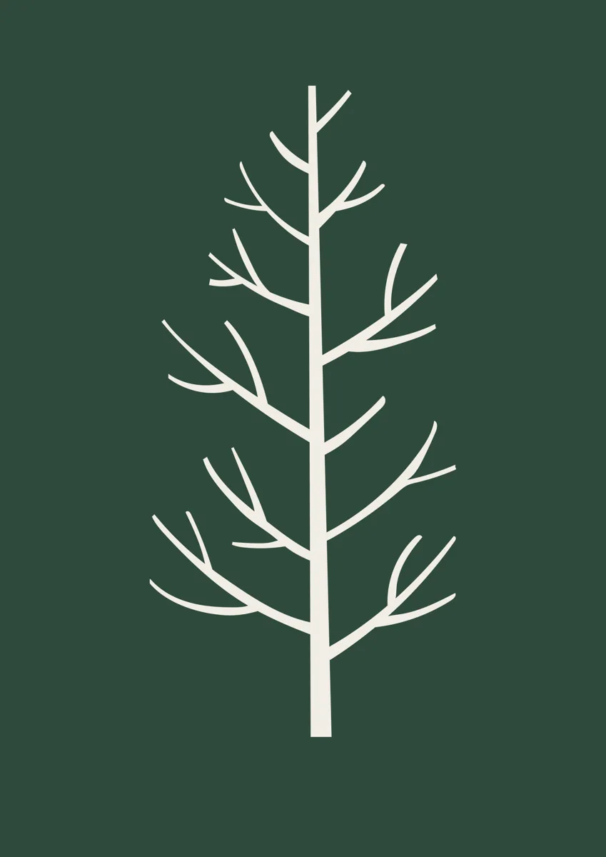Slender bare tree with upswept branches