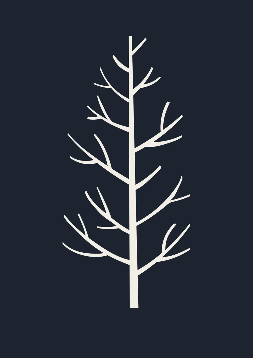 Slender bare tree with upswept branches