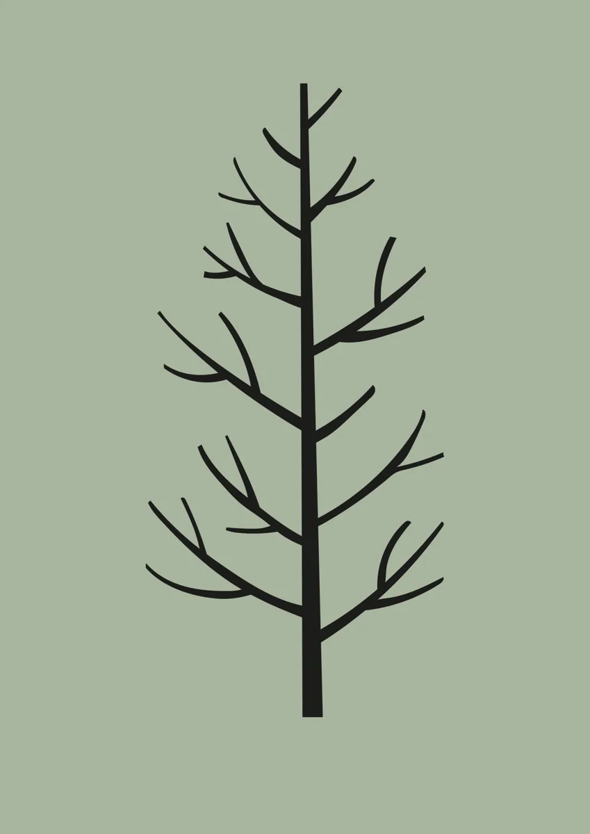 Slender bare tree with upswept branches