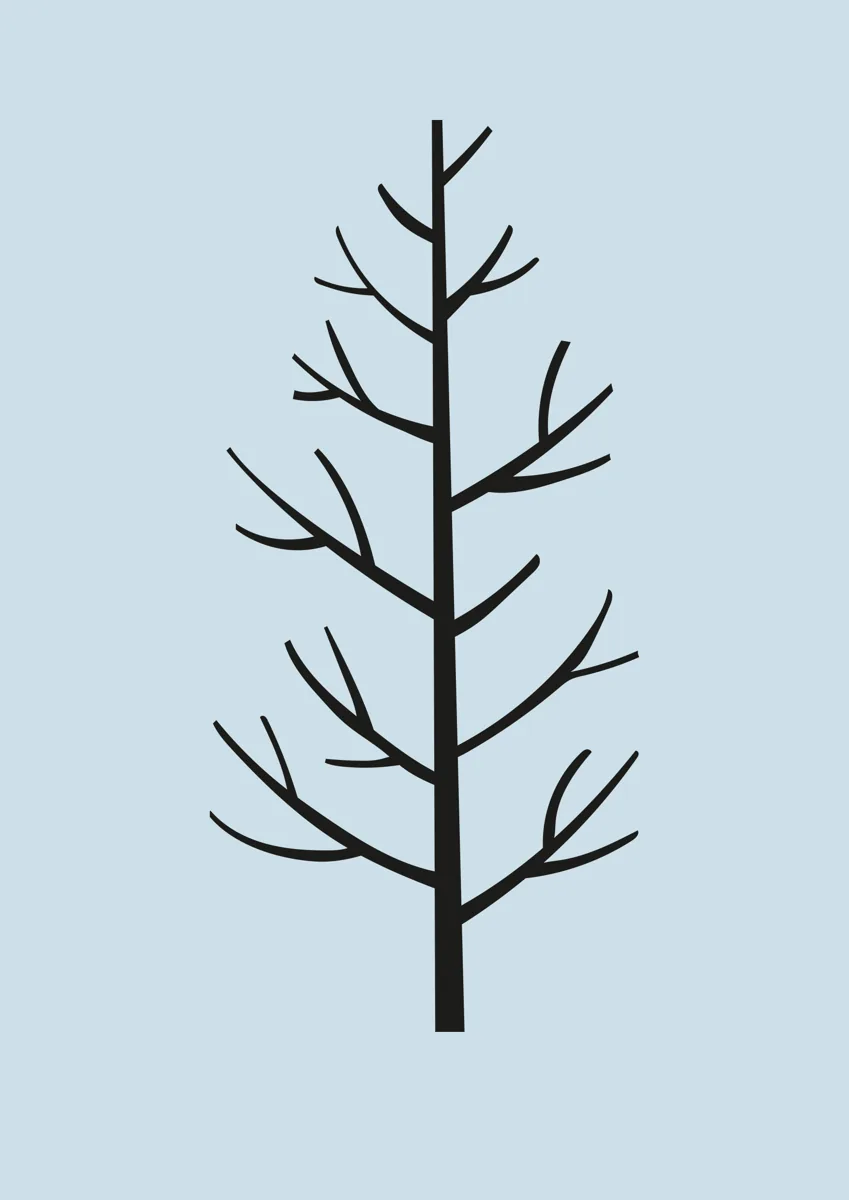 Slender bare tree with upswept branches