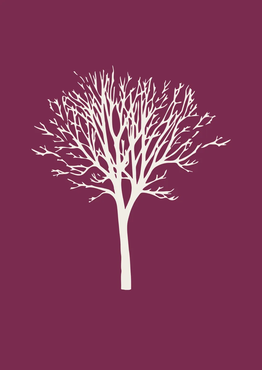 Bare winter tree with fine branches, silhouette