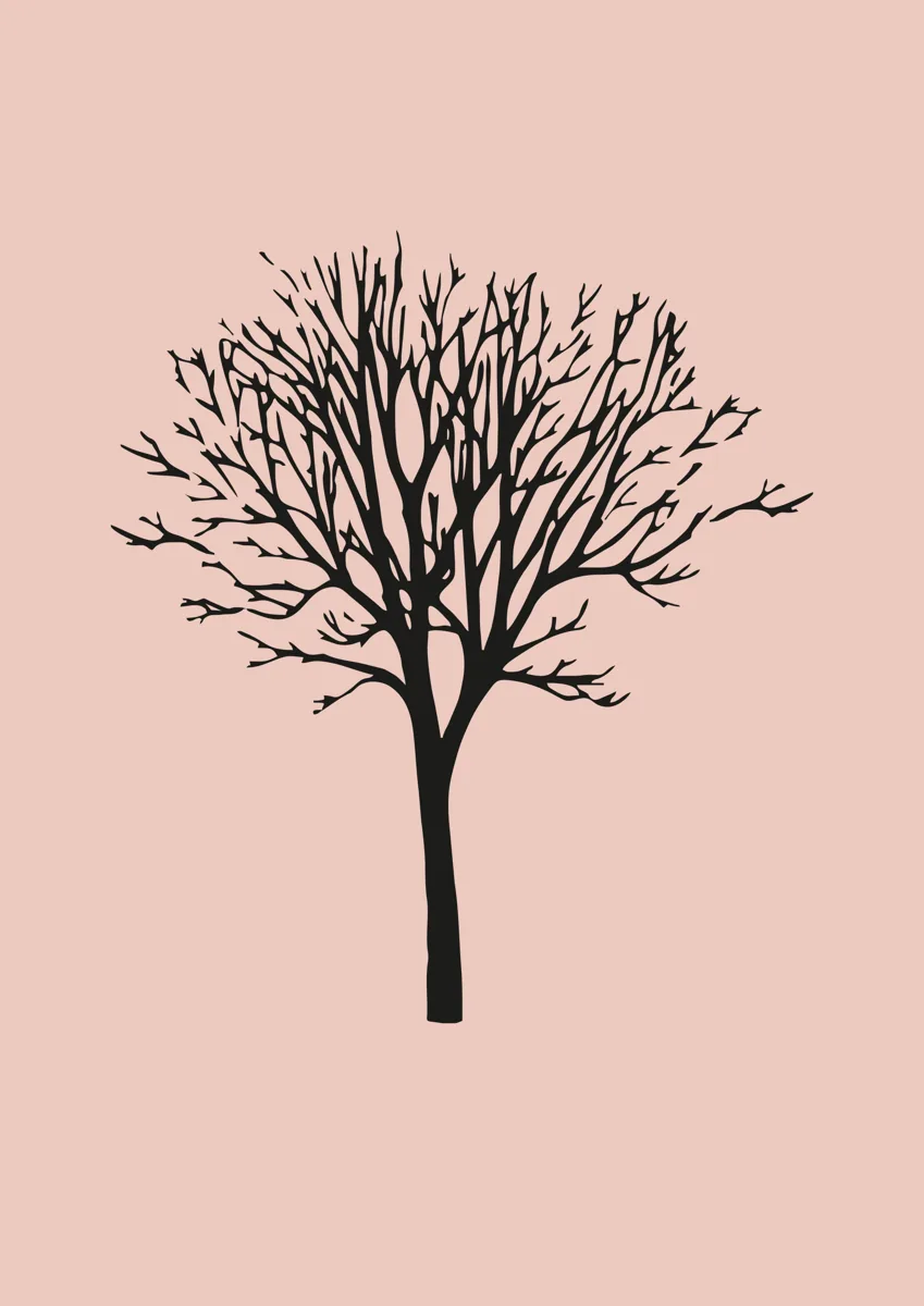 Bare winter tree with fine branches, silhouette