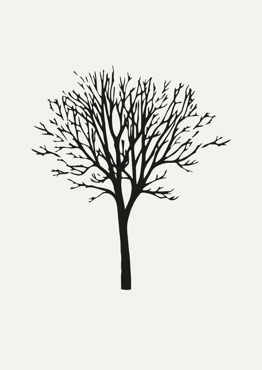 Bare winter tree with fine branches, silhouette