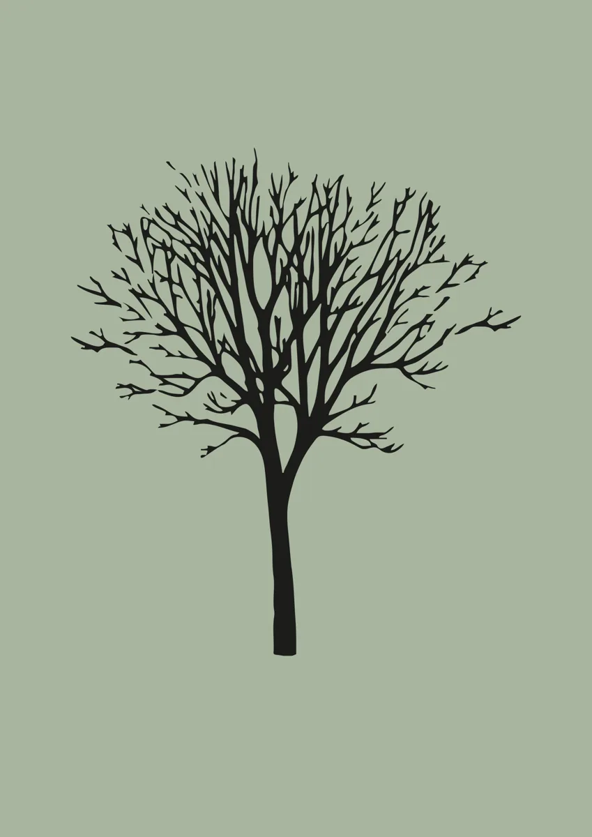 Bare winter tree with fine branches, silhouette