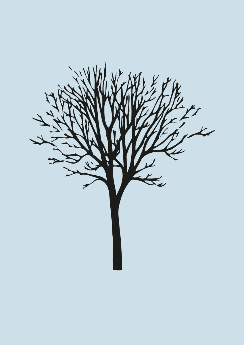 Bare winter tree with fine branches, silhouette