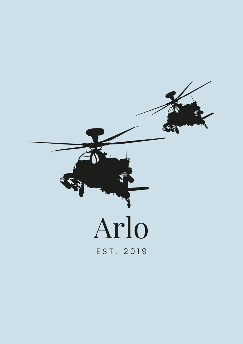 Two military helicopters in flight, silhouette
