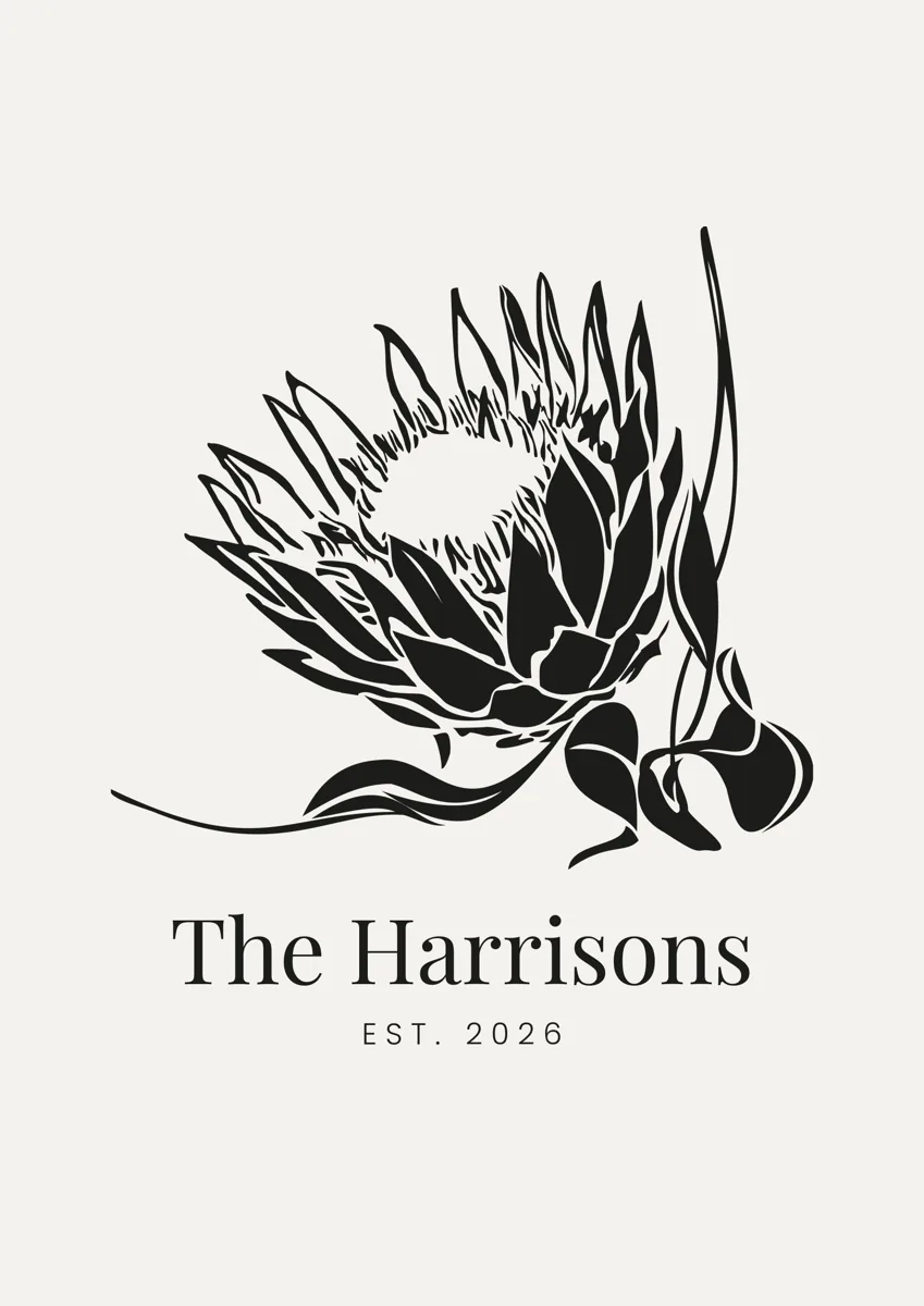 King protea flower in bloom, graphic illustration