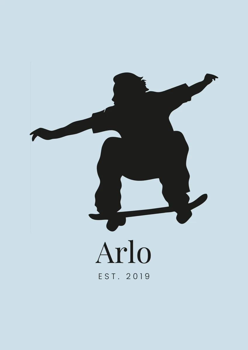 Skateboarder jumping in the air, silhouette